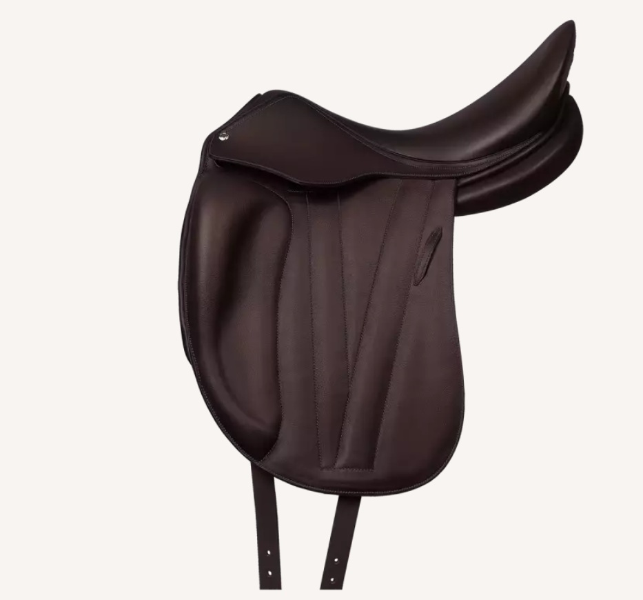Graines de chardon-Marie 25 g (0,9 oz) - 1,95 kg (68,8 oz