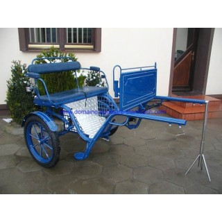 découvrez notre calèche 2 roues tirée par un cheval, alliant tradition et élégance pour des balades inoubliables en pleine nature.